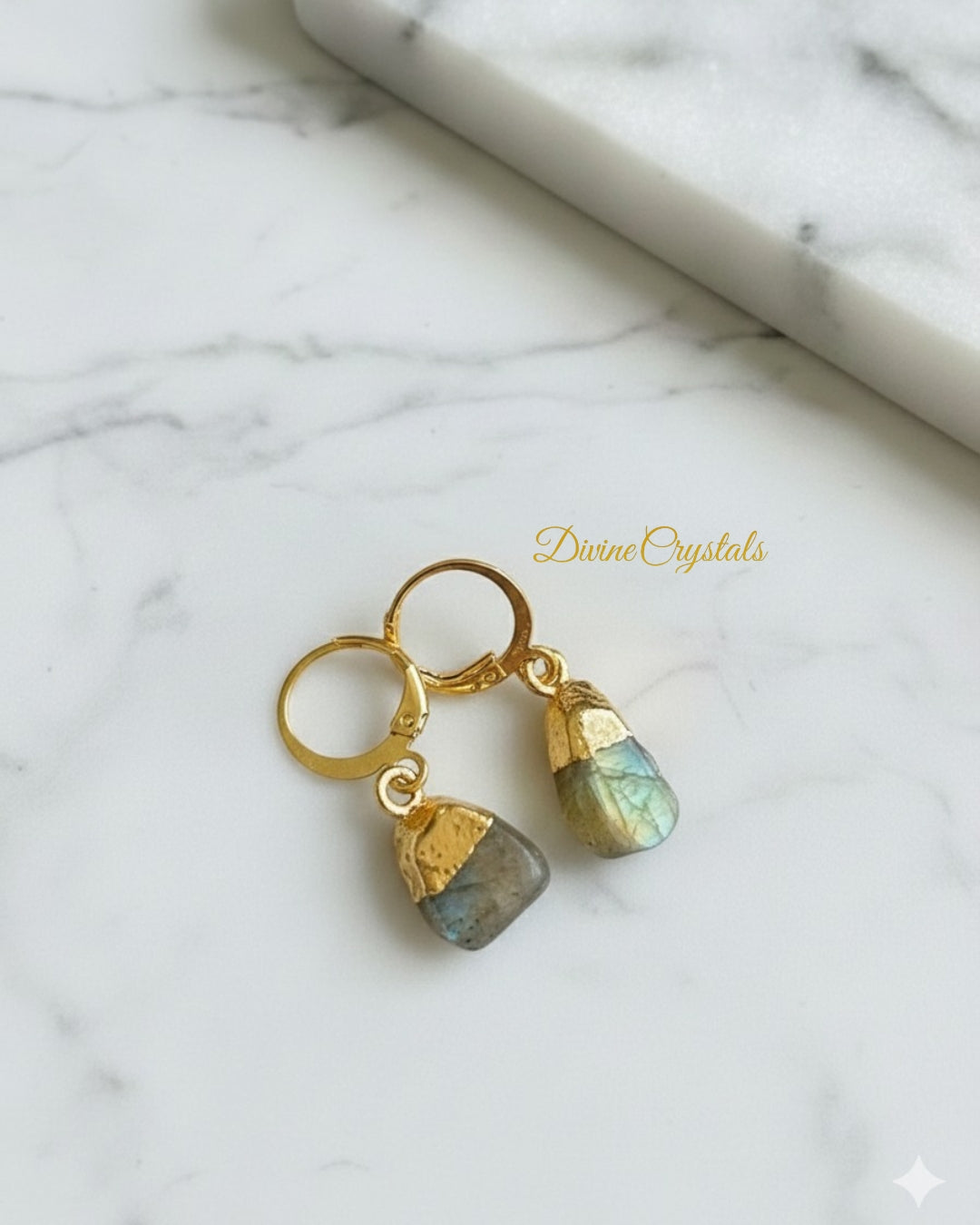 Oval Earrings