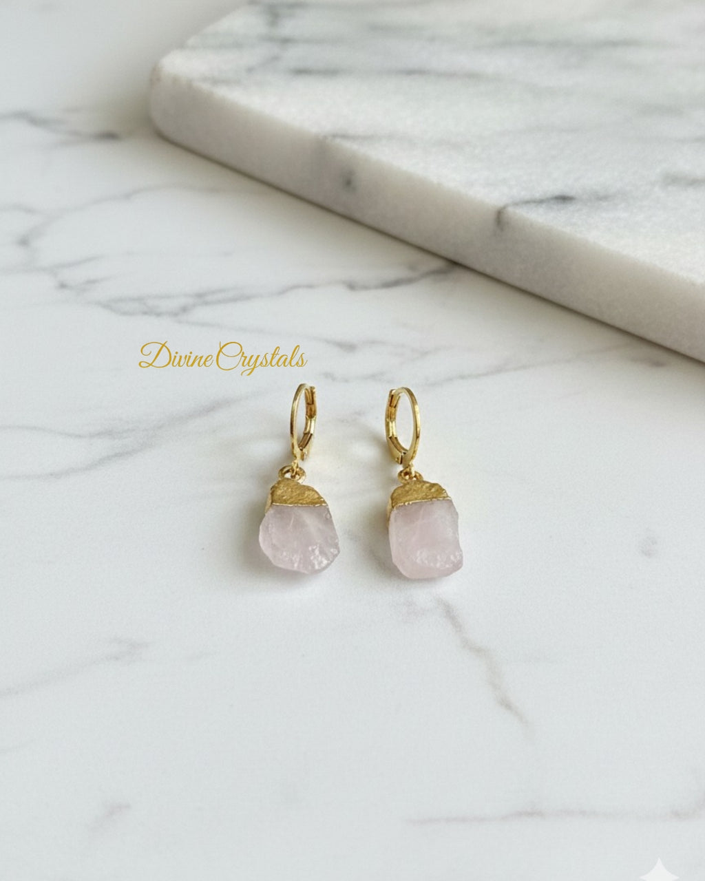 Oval Earrings