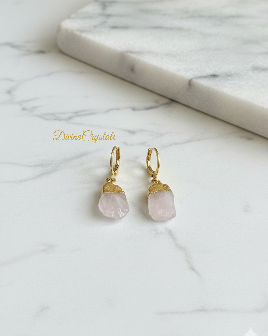 Oval Earrings