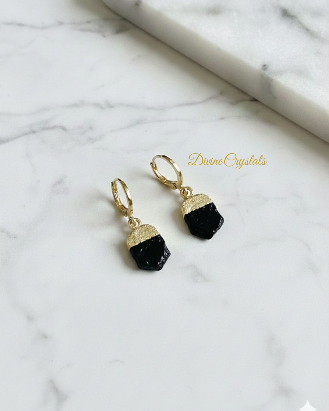 Oval Earrings